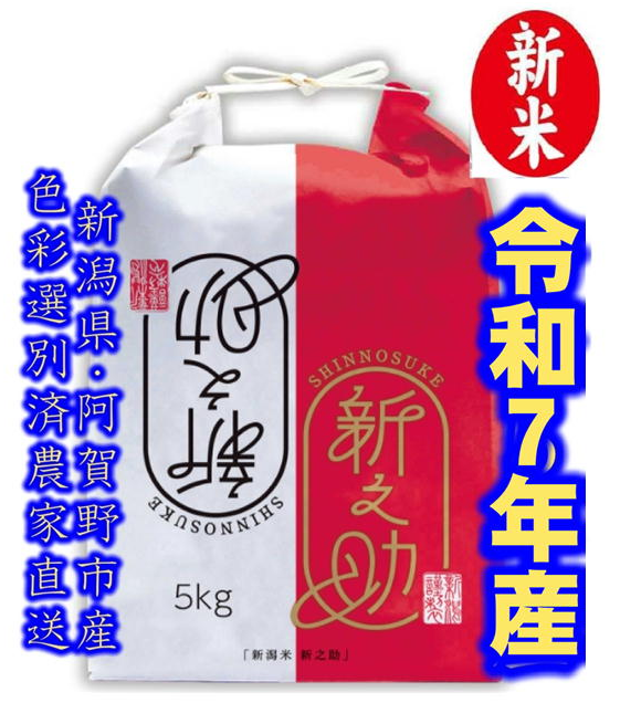 令和７年産　新潟　新之助　白米5kg × 1個★農家直送★色彩選別済　   予約9月25日頃の商品画像